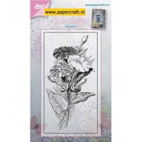 6410/0379 Petunia