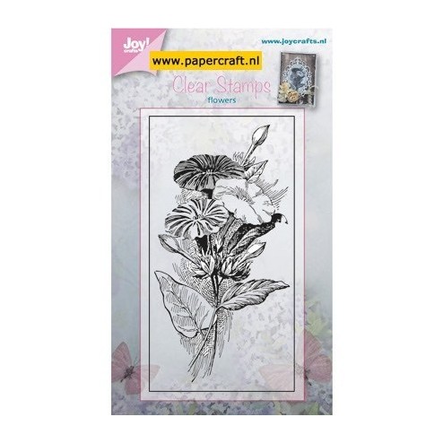6410/0379 Petunia