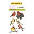 Kardinaalvogels