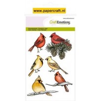 Kardinaalvogels