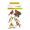 Kardinaalvogels