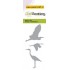 115633/0162 Watervogels