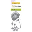 115633/0166 Roos