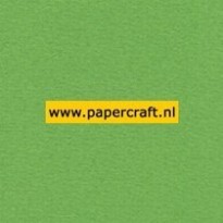907 Grasgroen