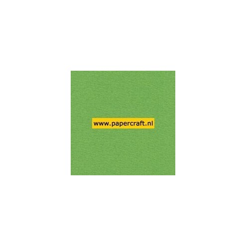 907 Grasgroen