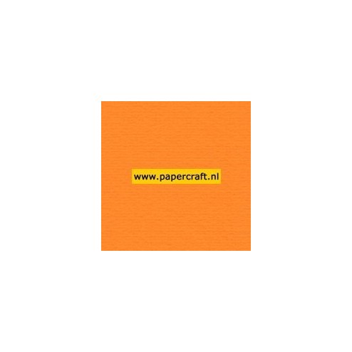 911 Oranje