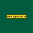 950 Dennengroen Papier