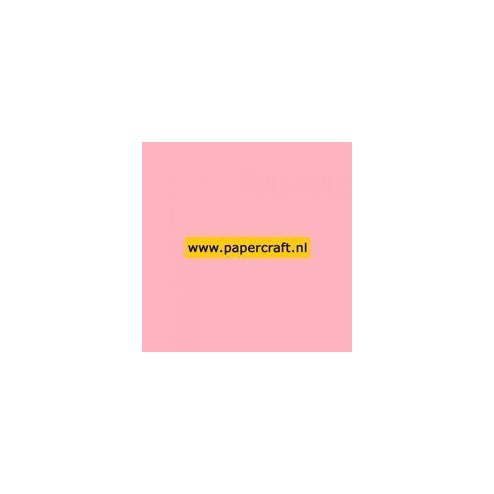 959 Babyroze