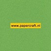 907 Grasgroen Karton