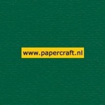 950 Dennengroen