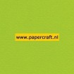 952 Lentegroen Karton