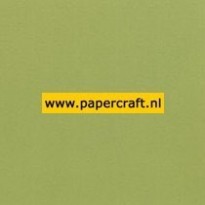954 Legergroen