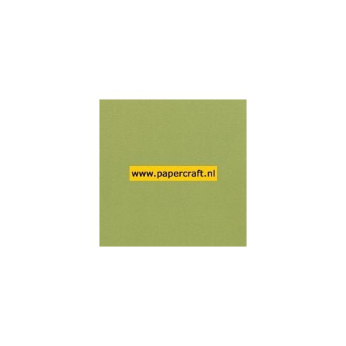 954 Legergroen