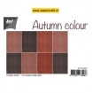 6011/0506 Autumn Colour