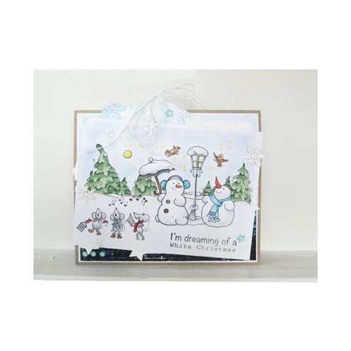HT1611 Border Snow
