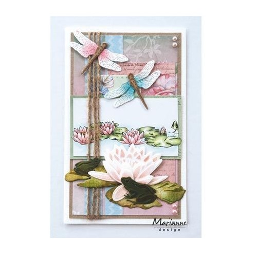 TC0850 Tiny’s Waterlily