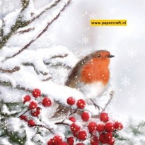 Roodborstje In De Sneeuw