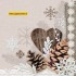 Winter Nature