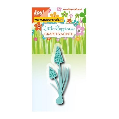 6003/3000 Grape Hyacinth