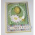 6002/0669 Spring Set