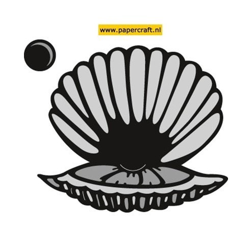 CR1407 Scallop