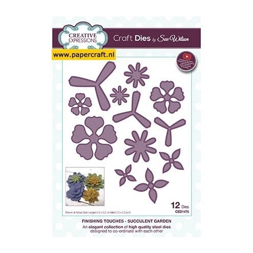 CED1476 Succulent Garden