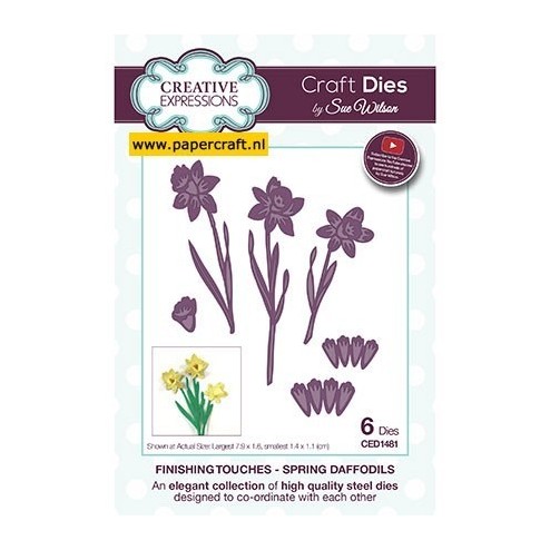 CED1481 Spring Daffodils