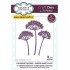CED1480 Queen Annes Lace