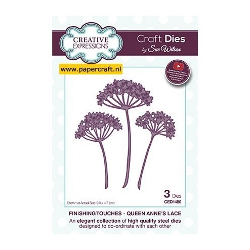 CED1480 Queen Annes Lace