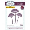 CED1480 Queen Annes Lace
