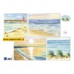 IT595 Tiny’s Background Beach