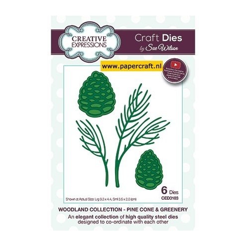 CED3103 Pine Cone & Greenery