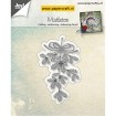 6002/0684 Mistletoe