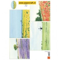 IT596 Tiny’s Background Landscape