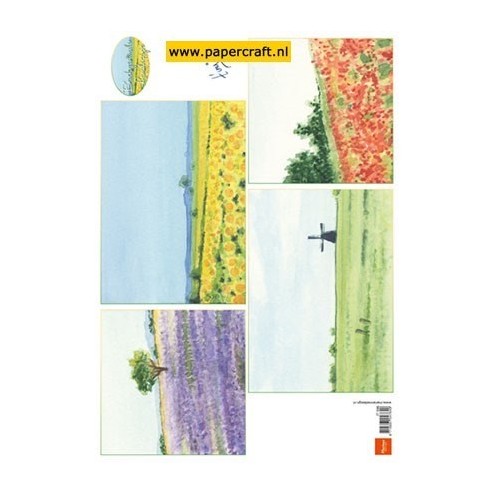 IT596 Tiny’s Background Landscape