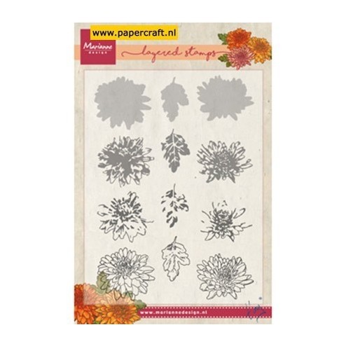 TC0858 Tiny’s Chrysant Layering