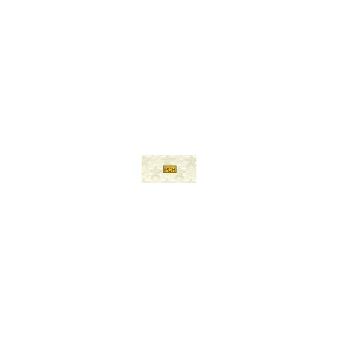 1003 Ivoor