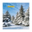 111330/5115 Bomen In de Sneeuw