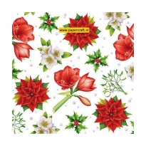 111330/4260 Kerstbloemen Wit