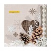 111330/9570 Winter Nature