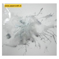 CSPPSILV Silver Dream