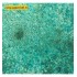 CSPPEMER Emerald Green