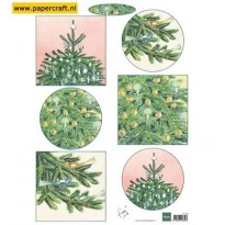IT598 Tiny’s Christmas Trees