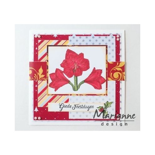 TC0860 Tiny’s Amaryllis Layering