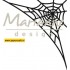 CR1422 Spiderweb
