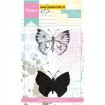 MM1613 Tiny’s Butterfly 1
