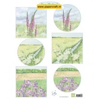 IT602 Tiny’s Flower Meadow 2