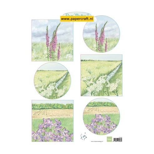 IT602 Tiny’s Flower Meadow 2