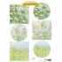 IT601 Tiny’s Flower Meadow 1