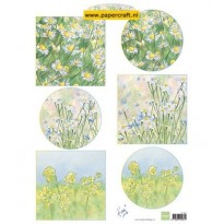IT601 Tiny’s Flower Meadow 1